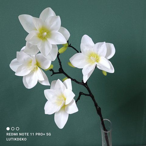 Штучні квіти. Гілка латесної магнолій Біла 60 см 2942306128 фото